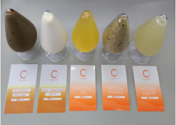カルペイン（養殖真鯛未利用部位）